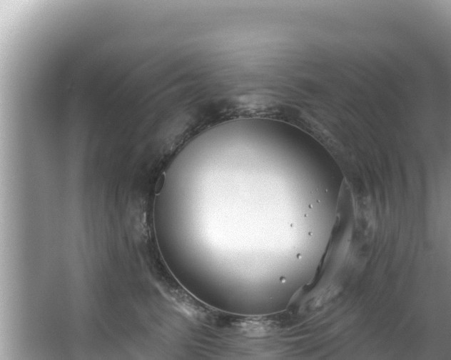 X0000067490615200604101257