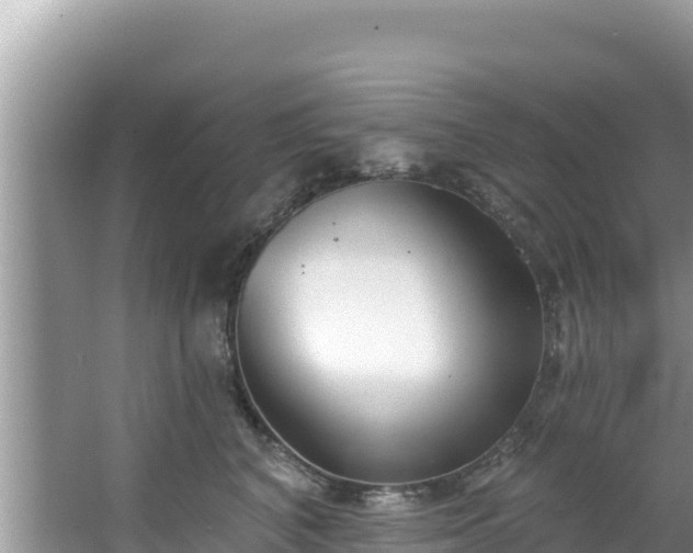 X0000067490616200604101257