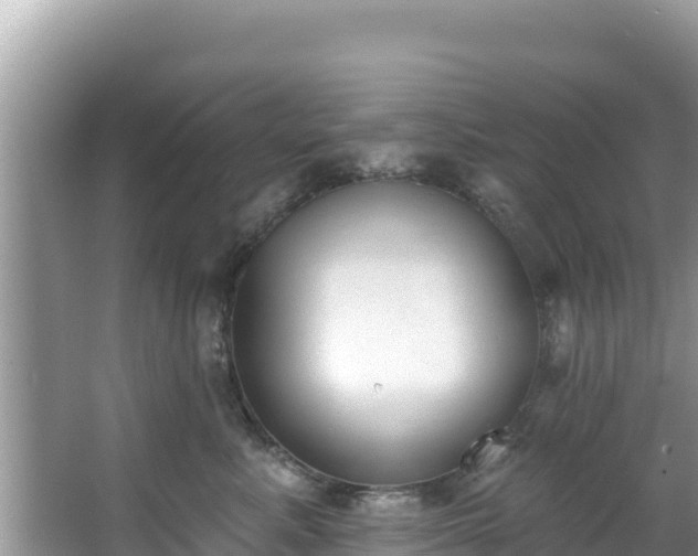 X0000067490619200604101257