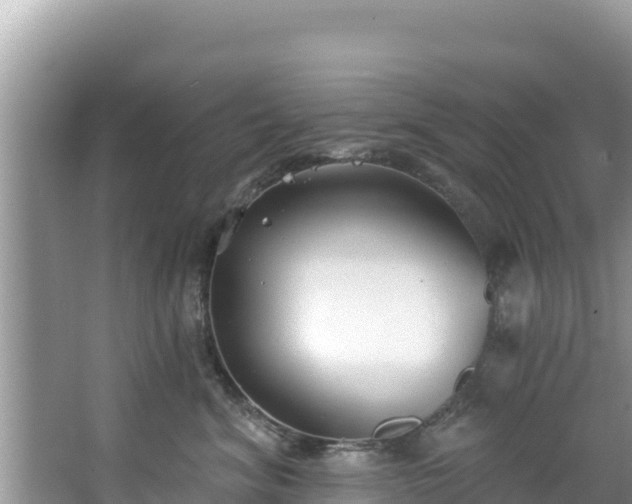 X0000067490620200604101257