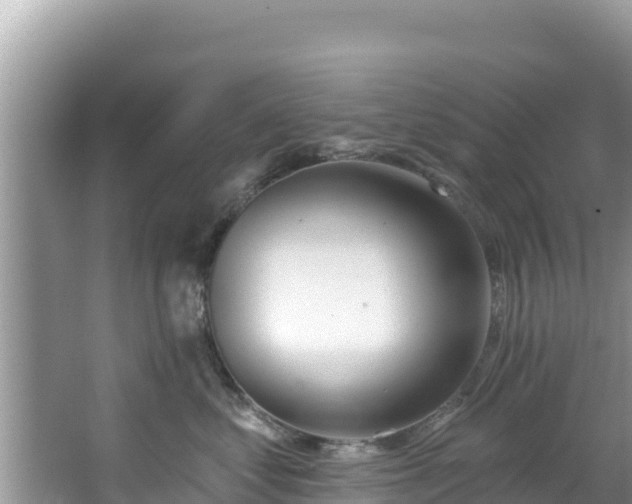 X0000067490621200604101257