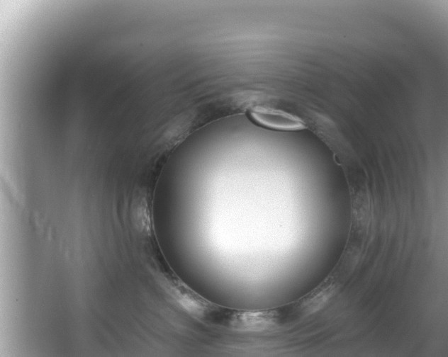 X0000067490622200604101257