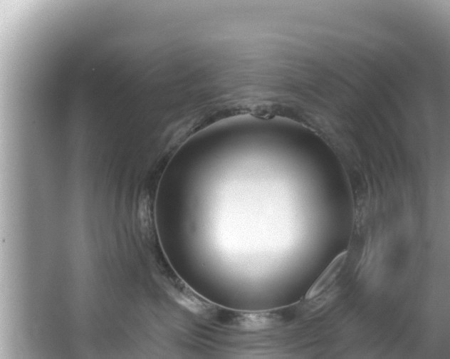 X0000067490623200604101257