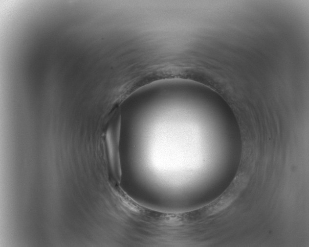 X0000067490624200604101257