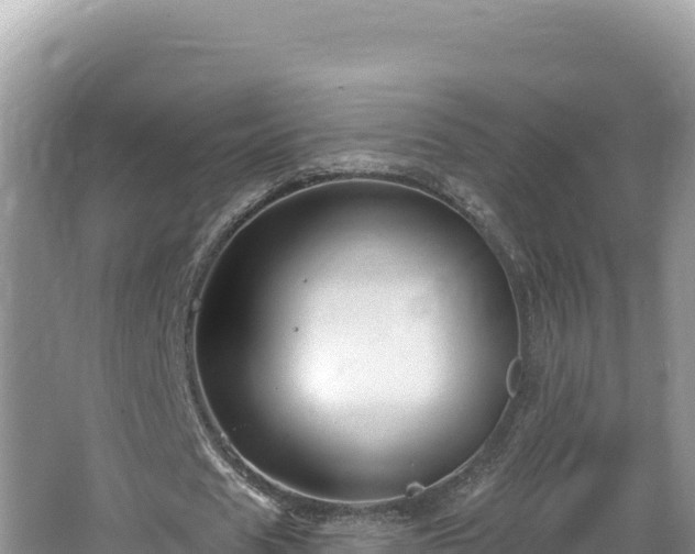 X0000067490625200604101256