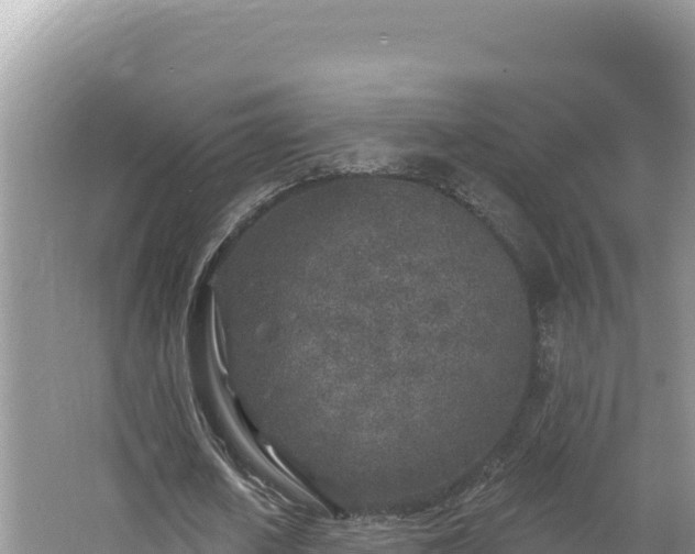 X0000067490626200604101256