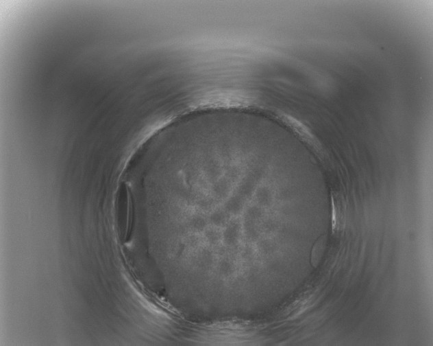 X0000067490627200604101256