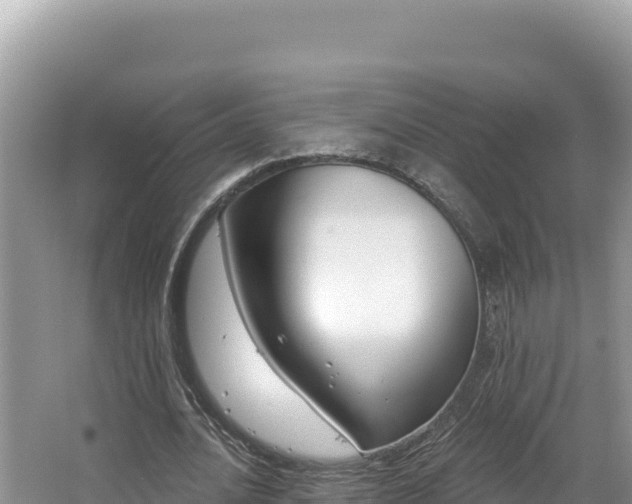 X0000067490628200604101256