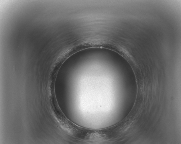 X0000067490635200604101256