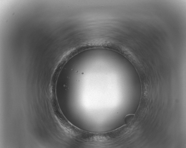 X0000067490636200604101256