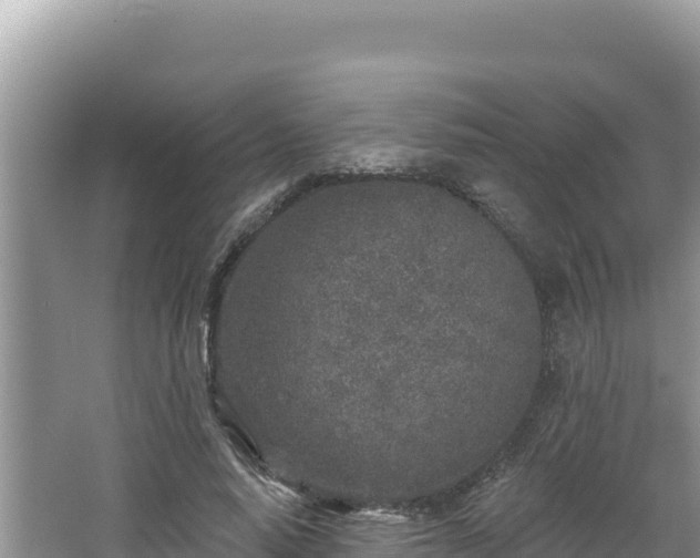 X0000067490640200604101256