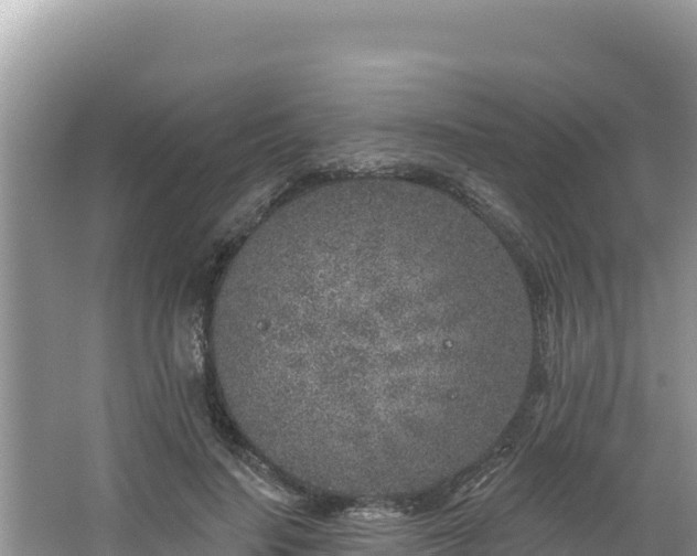 X0000067490644200604101256