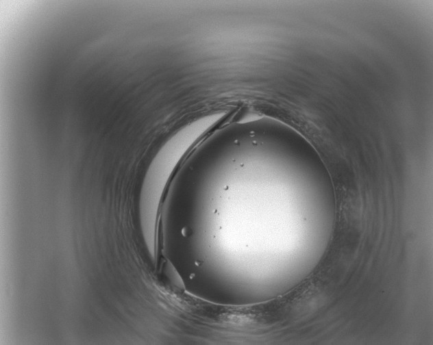 X0000067490649200604101256