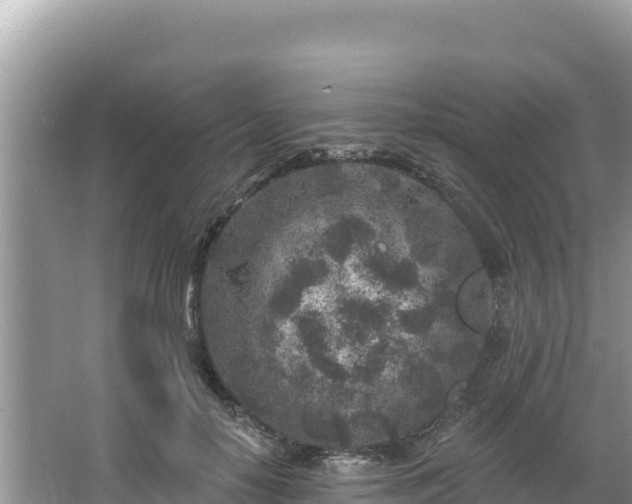 X0000067490650200604101256