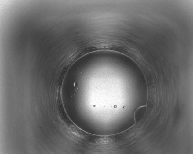 X0000067490652200604101256