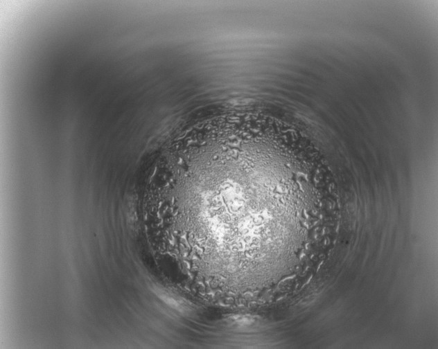 X0000067490654200604101256