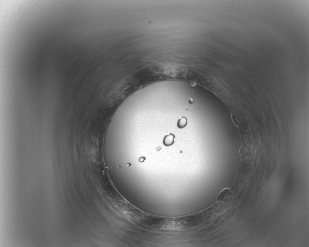 X0000067490656200604101256