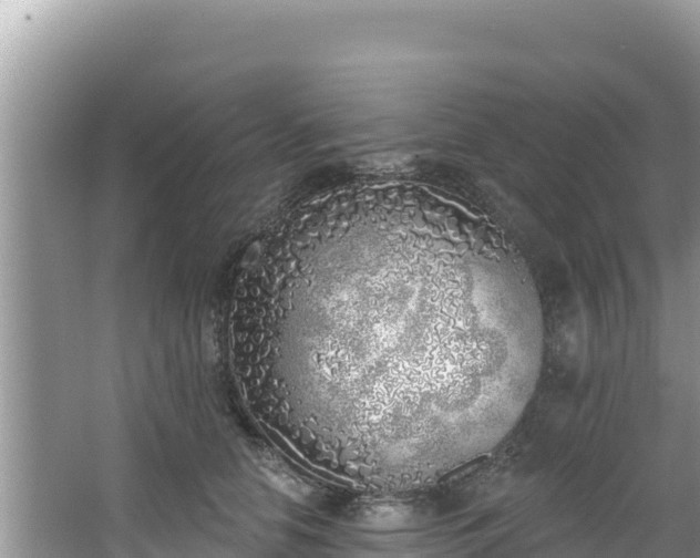 X0000067490658200604101256