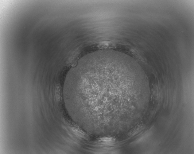 X0000067490659200604101256