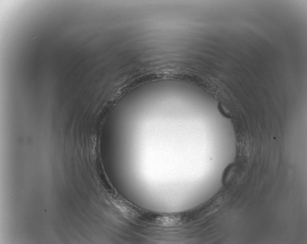 X0000067490660200604101256