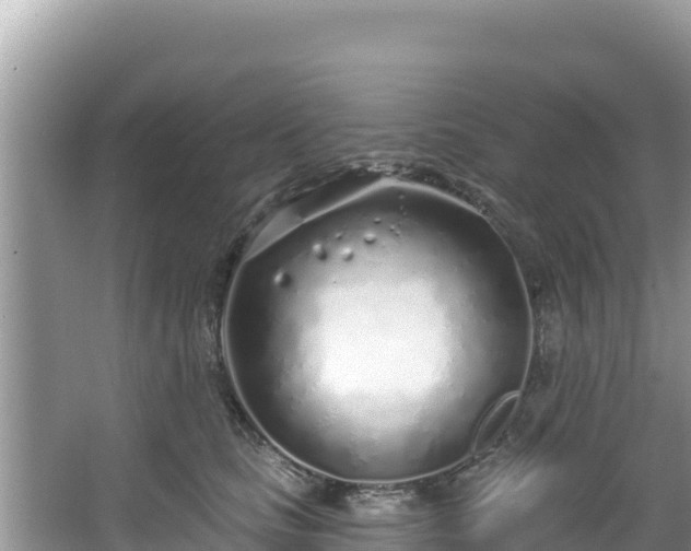 X0000067490661200604101256