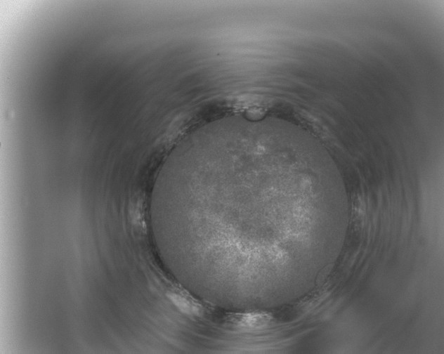 X0000067490663200604101256