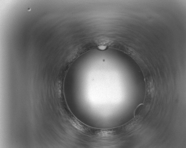 X0000067490664200604101256