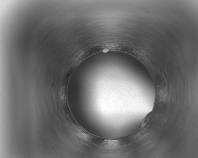 X0000067490665200604101256