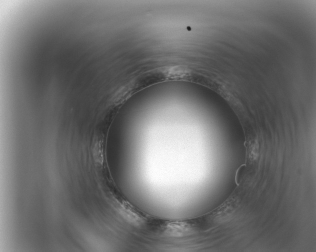 X0000067490666200604101256