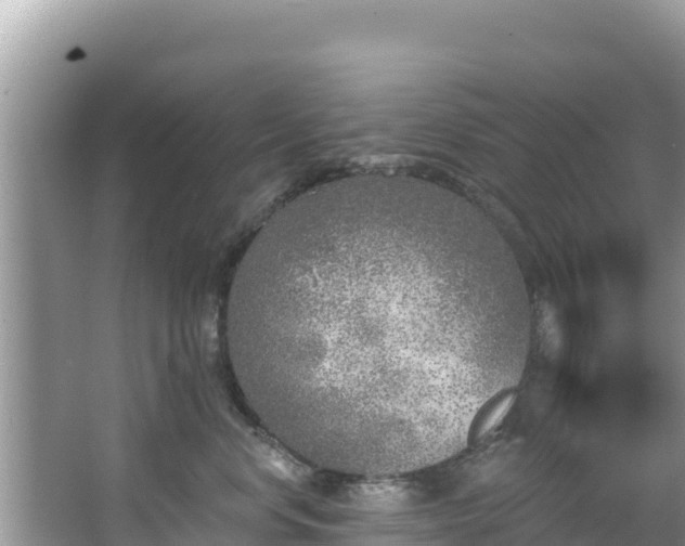 X0000067490668200604101256