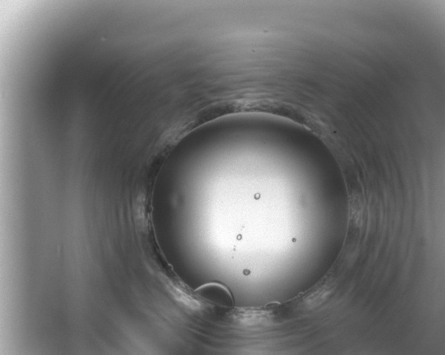 X0000067490670200604101257