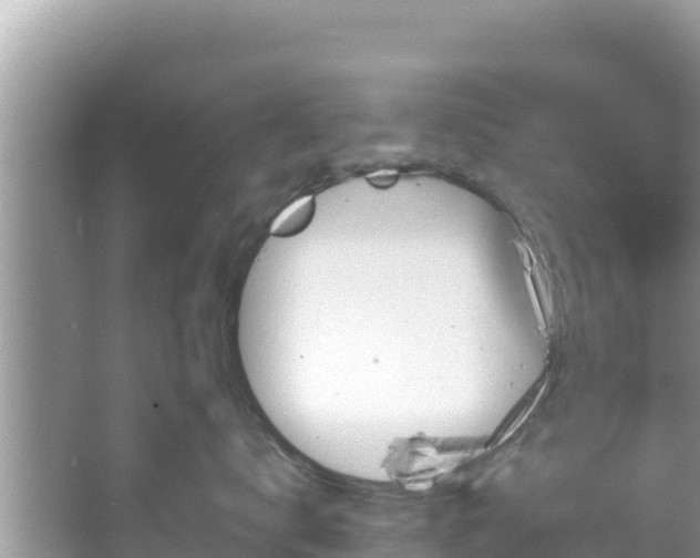 X0000067490672200604101257