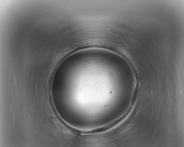 X0000067490673200604101256