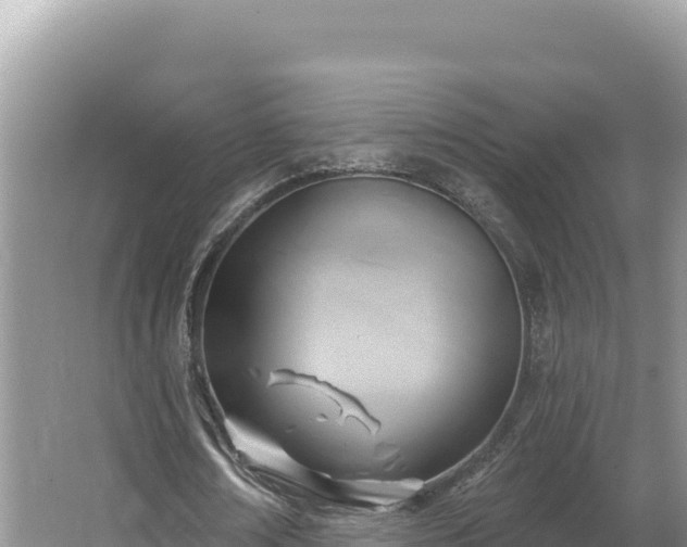 X0000067490674200604101256