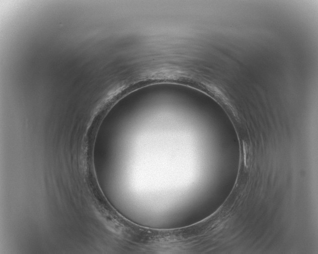 X0000067490675200604101256