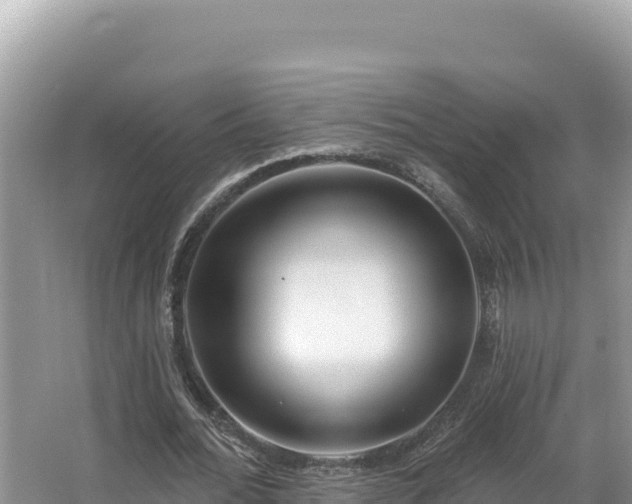 X0000067490676200604101256