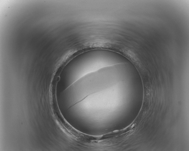 X0000067490678200604101256