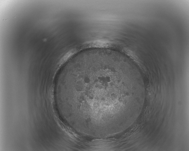 X0000067490679200604101256