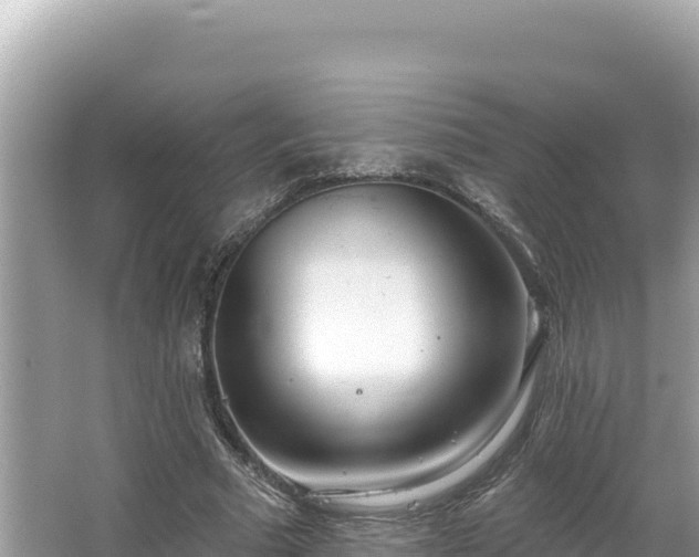 X0000067490681200604101256