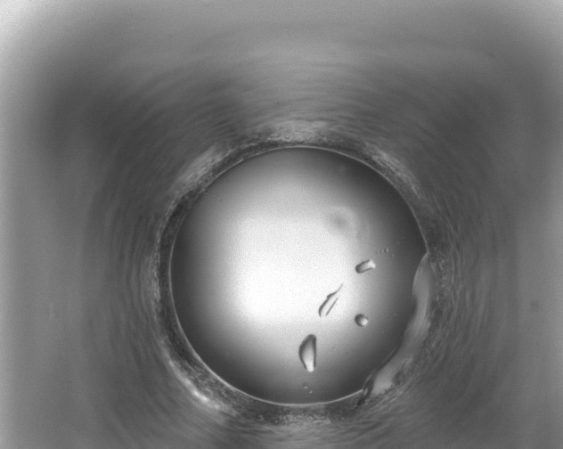 X0000067490682200604101256