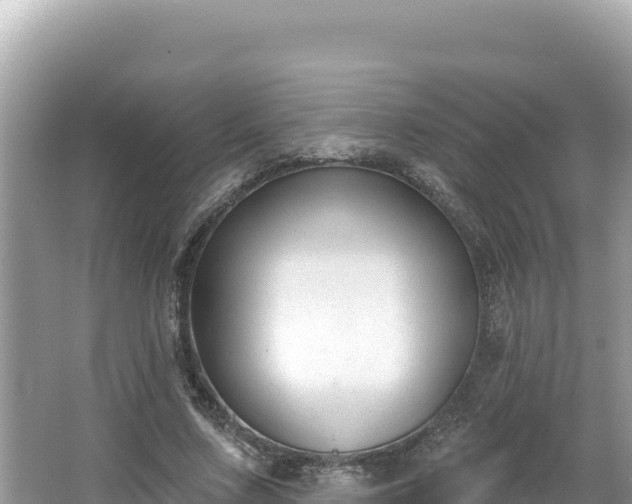 X0000067490683200604101256