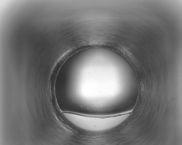 X0000067490684200604101256