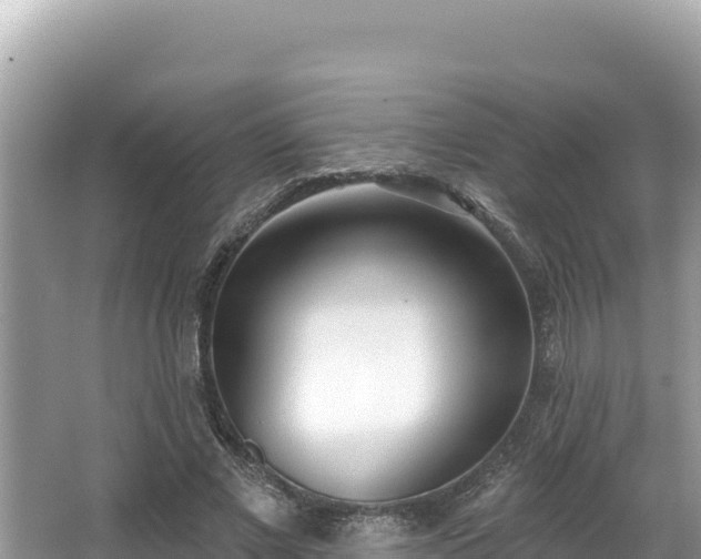 X0000067490685200604101256