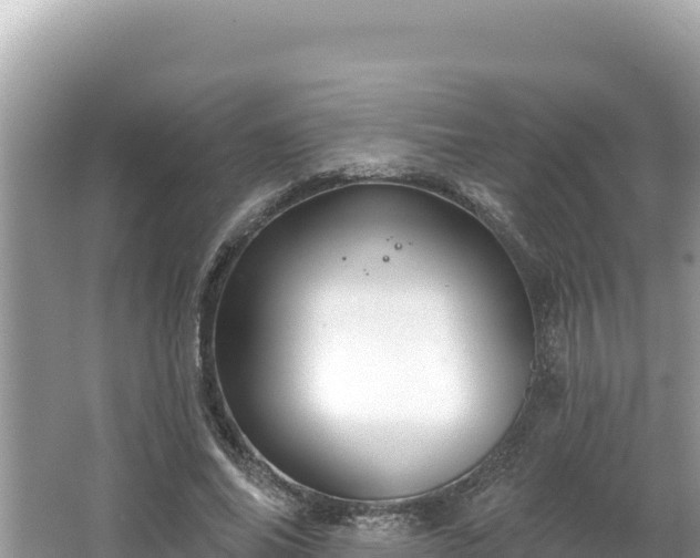 X0000067490686200604101256