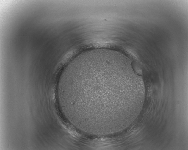 X0000067490687200604101256