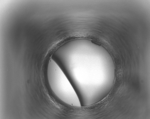 X0000067490688200604101256