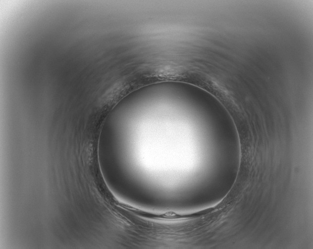 X0000067490689200604101255