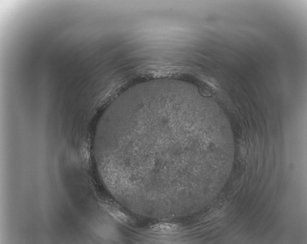 X0000067490691200604101255