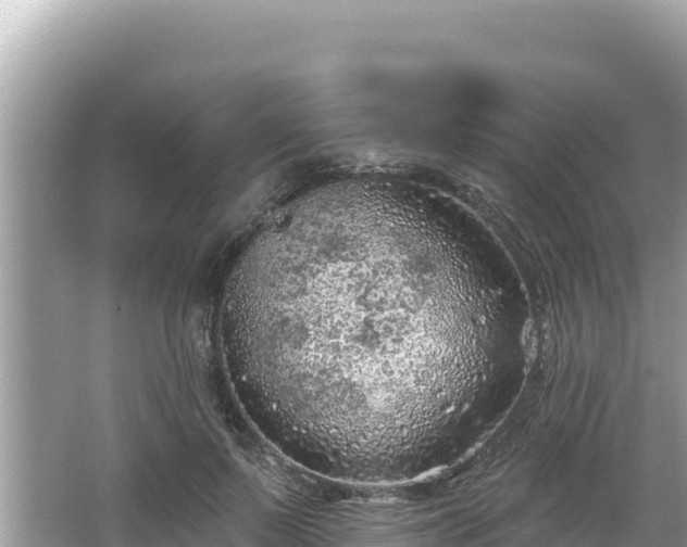 X0000067490695200604101255