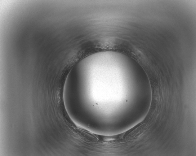 X0000067490697200604101255